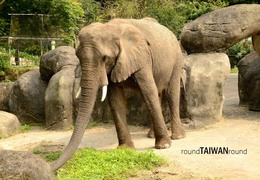 Span3_taipei_zoo________-012